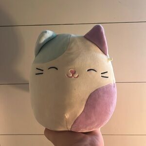 Cat squish mellow